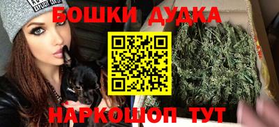 индика Железноводск