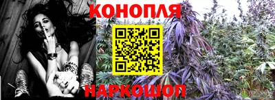 спайс Ефремов